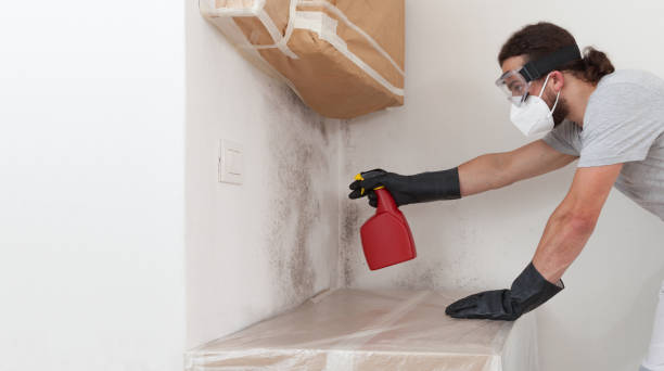 Professional Black Mold Remediation technician working in Dendron, VA