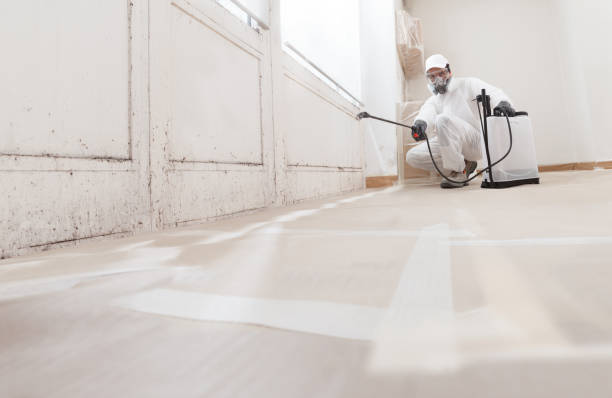 24/7 Emergency Black Mold Remediation experts in Dendron, VA